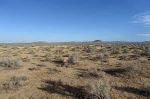DSC01218